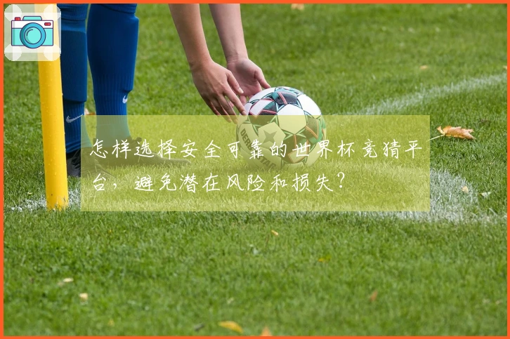 怎样选择安全可靠的世界杯竞猜平台，避免潜在风险和损失？