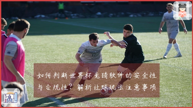 如何判断世界杯竞猜软件的安全性与合规性？解析让球玩法注意事项