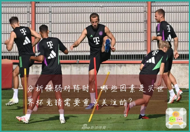 分析强弱对阵时，哪些因素是买世界杯竞猜需要重点关注的？