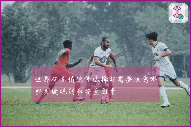 世界杯竞猜软件选择时需要注意哪些关键规则和安全因素