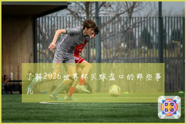 了解2026世界杯买球盘口的那些事儿