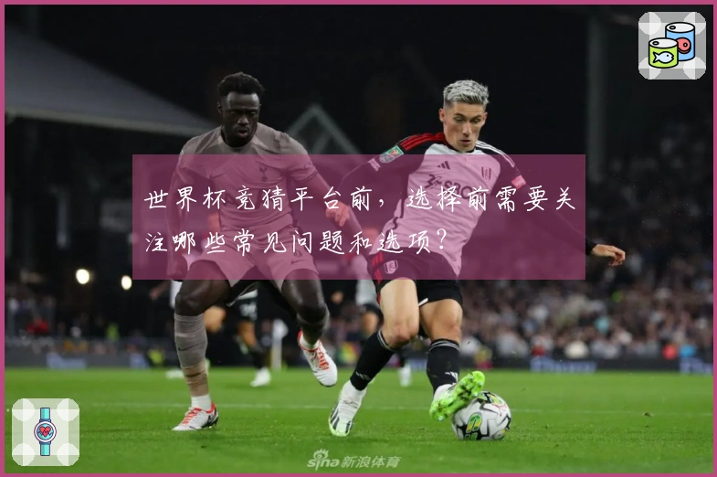 世界杯竞猜平台前，选择前需要关注哪些常见问题和选项？