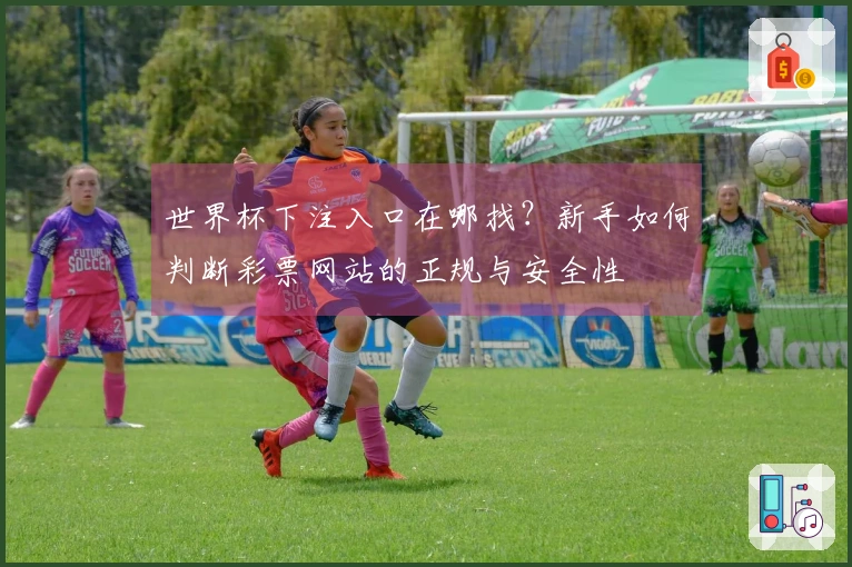 世界杯下注入口在哪找？新手如何判断彩票网站的正规与安全性