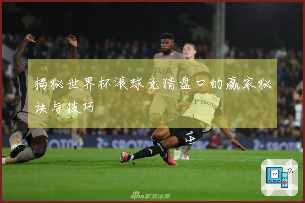 揭秘世界杯滚球竞猜盘口的赢家秘诀与技巧