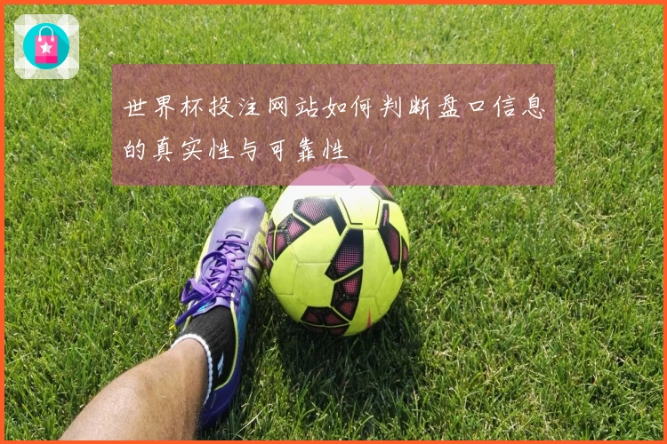 世界杯投注网站如何判断盘口信息的真实性与可靠性