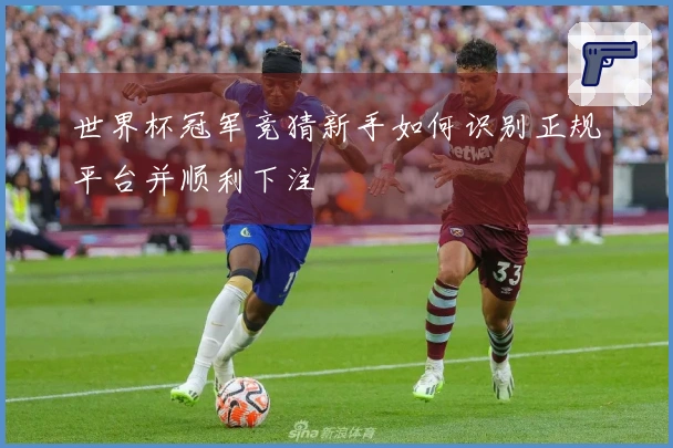 世界杯冠军竞猜新手如何识别正规平台并顺利下注